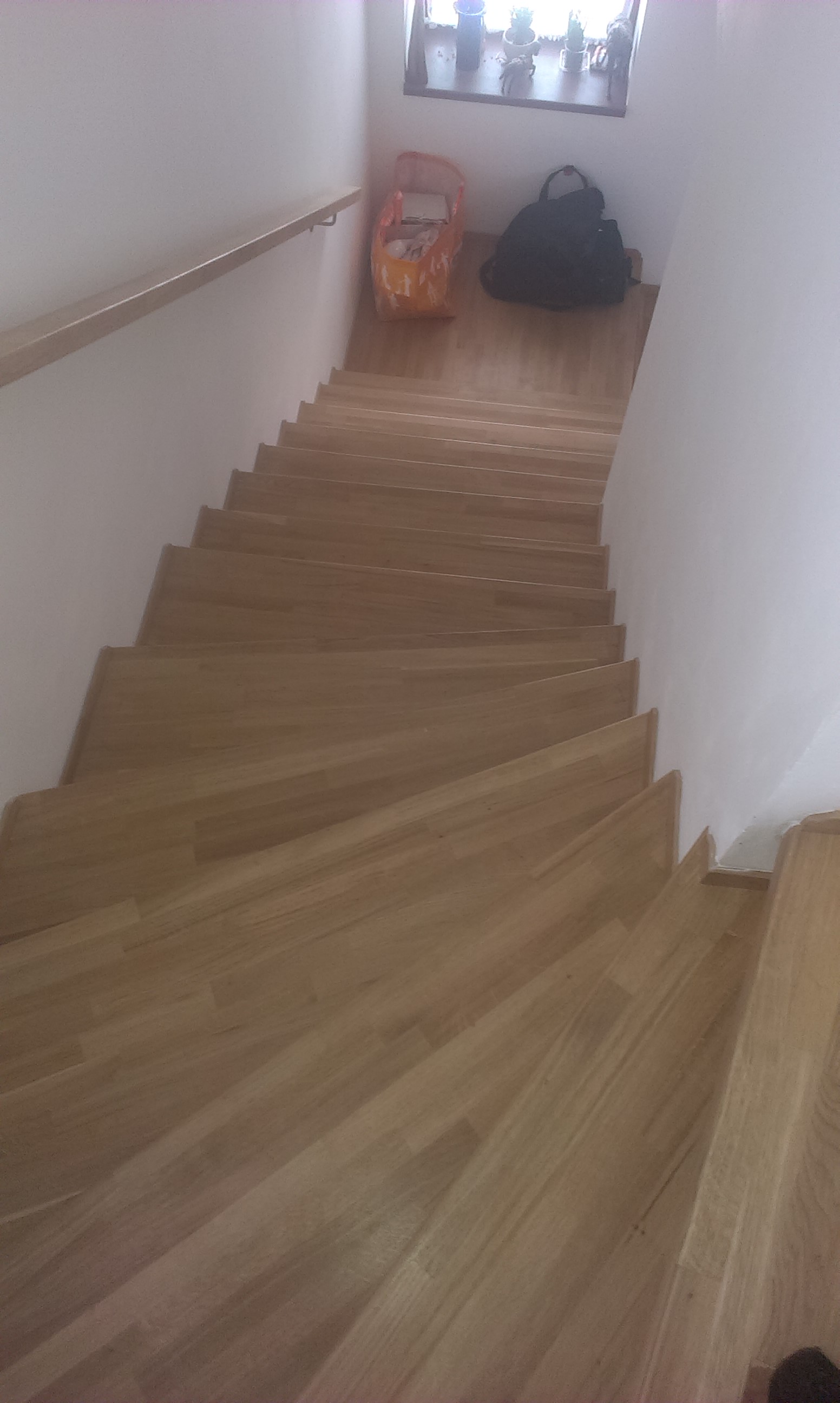 IMAG0104